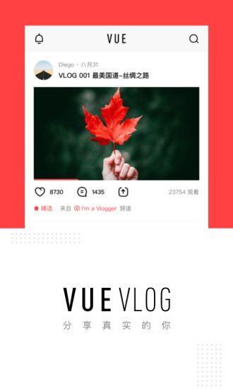 VUE Vlog