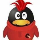 QQ