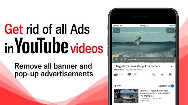 Tube Browser