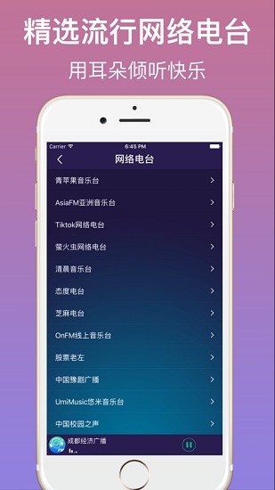 FM