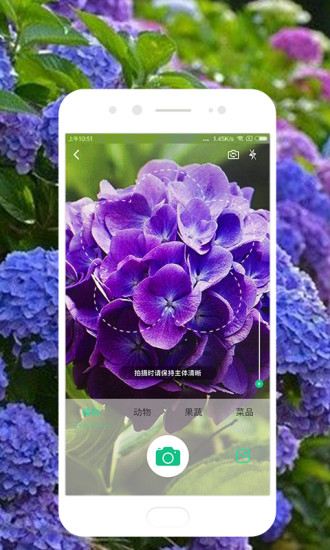 ʶapp