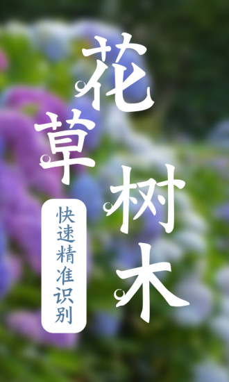 ʶ