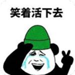 bt����������������