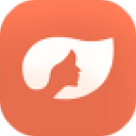 ǳǳ��Ƶapp2020�����۰�