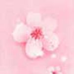 �һ��ɰ�����Ƶapp��Ѱ�