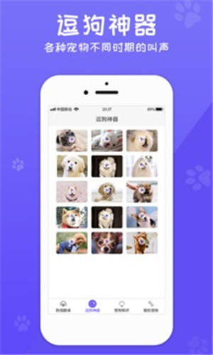 ﷭ֻAPP