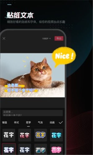 ��ӳ����