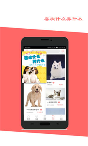 �Գ������¹ٷ�������