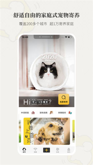 С���ڼҳ�����������