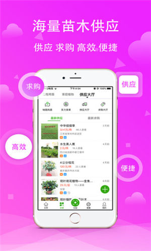 ��ľ֮�Ұ�׿������