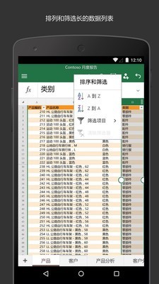 MicrosoftExcel