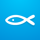 Сapp