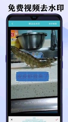 ˮӡƵapp