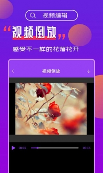 Ƶ༭app