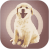 ˹app
