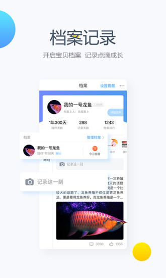 appƽ