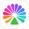 APP׿