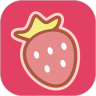 ݮapp