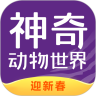 APP°