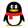 QQ2021°