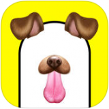 ������ֽapp