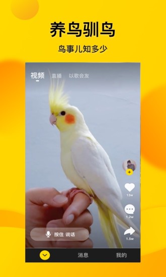 ΢APP
