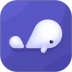 СAPP