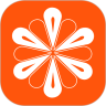 ܹAPP°