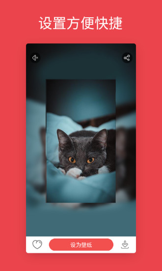 ��׿��̬��ֽapp�ɰ�����